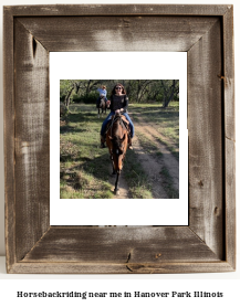 horseback riding near me in Hanover Park, Illinois